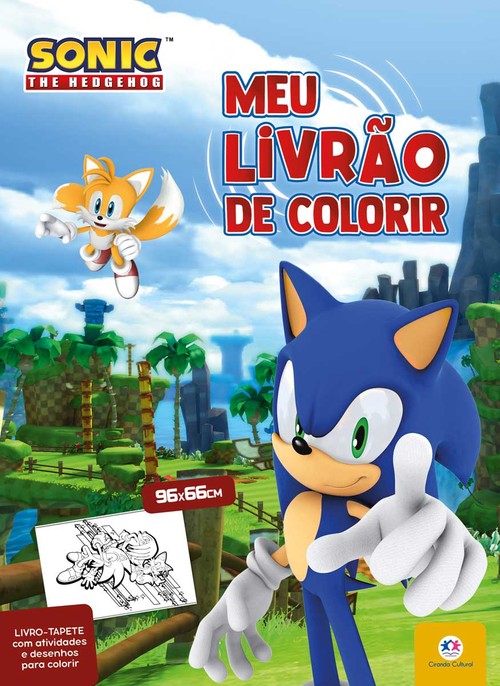 LIVRAO P/COLORIR SONIC